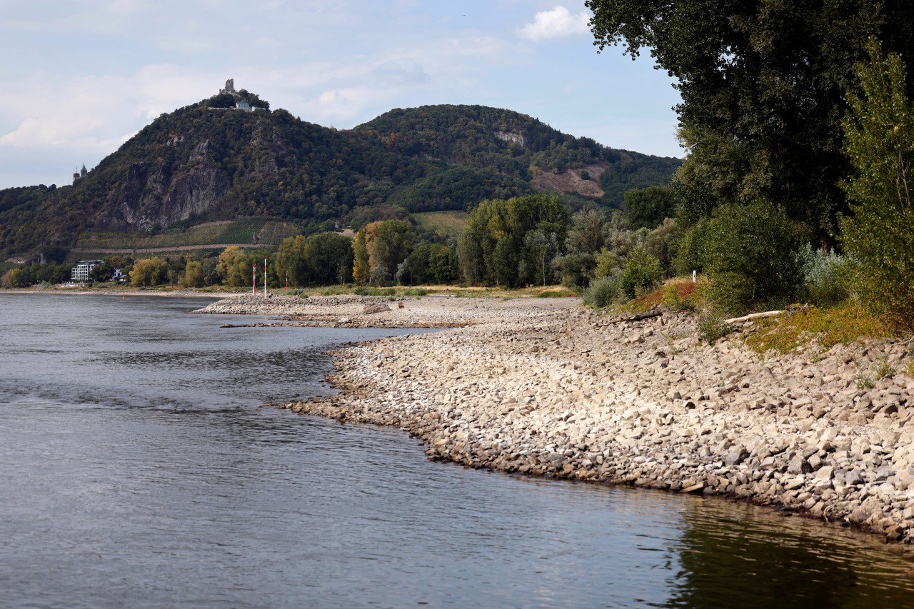 Beunruhigende Entdeckung im Rhein bei Bonn. (Symbolbild)