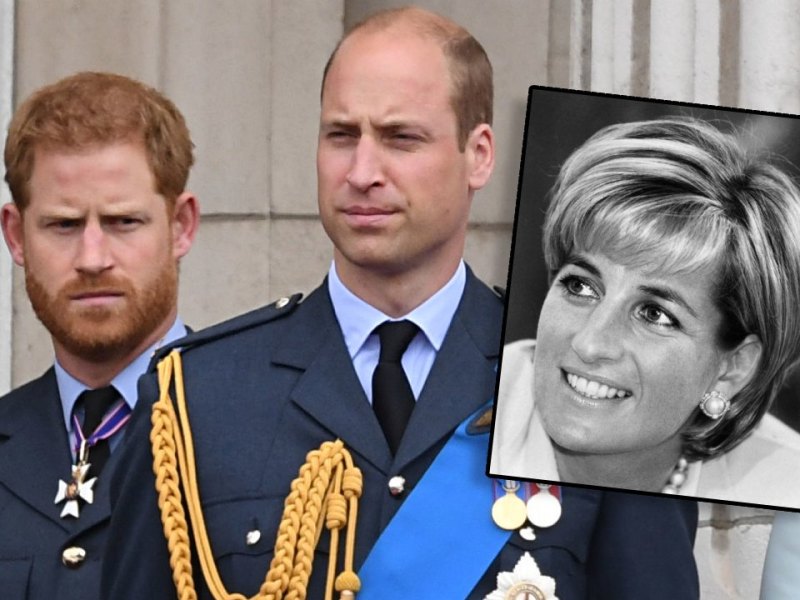 lady-diana-kinder-william-harry.jpg