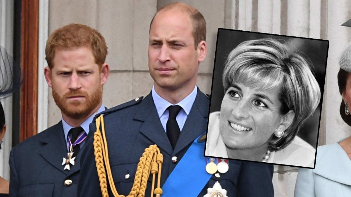 lady-diana-kinder-william-harry.jpg