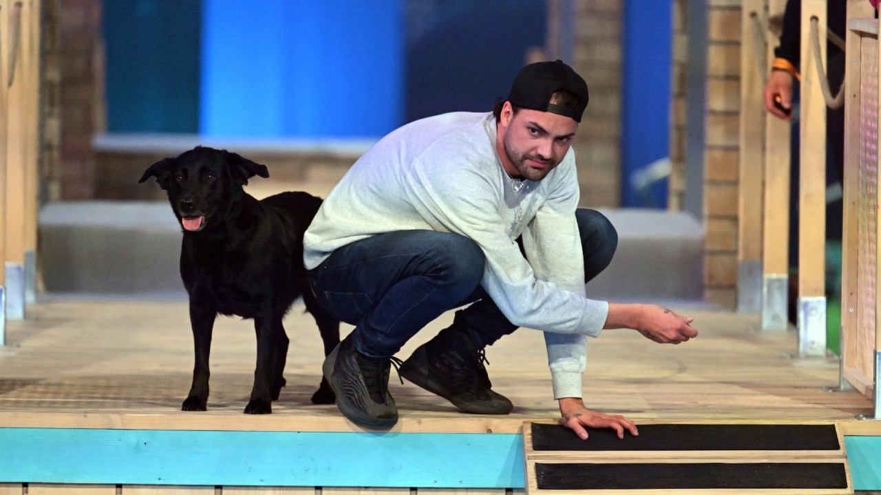 Jimi Blue Ochsenknecht bricht seinen Lauf bei „Top Dog Germany“ plötzlich ab.