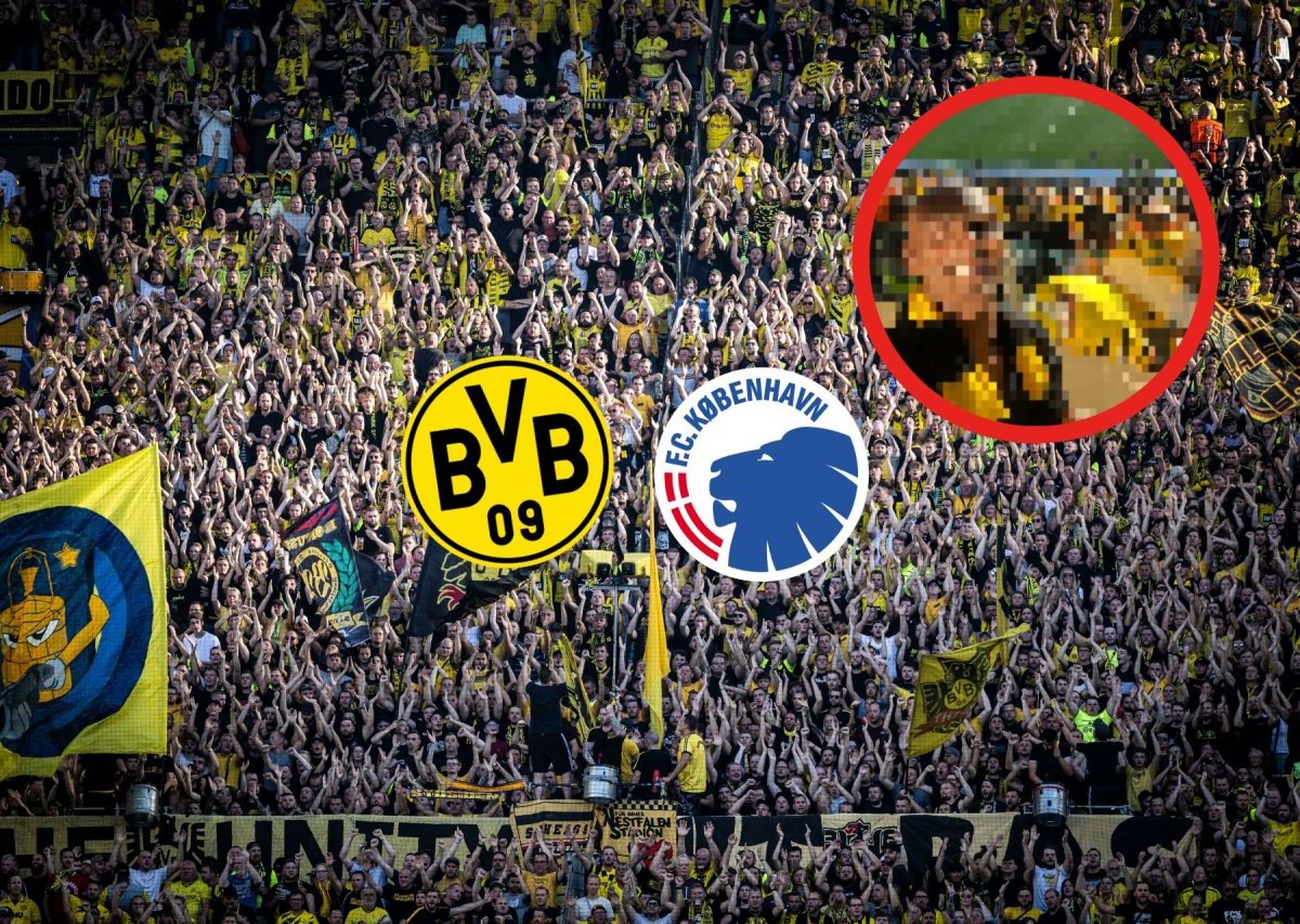 BVB Haller.jpg