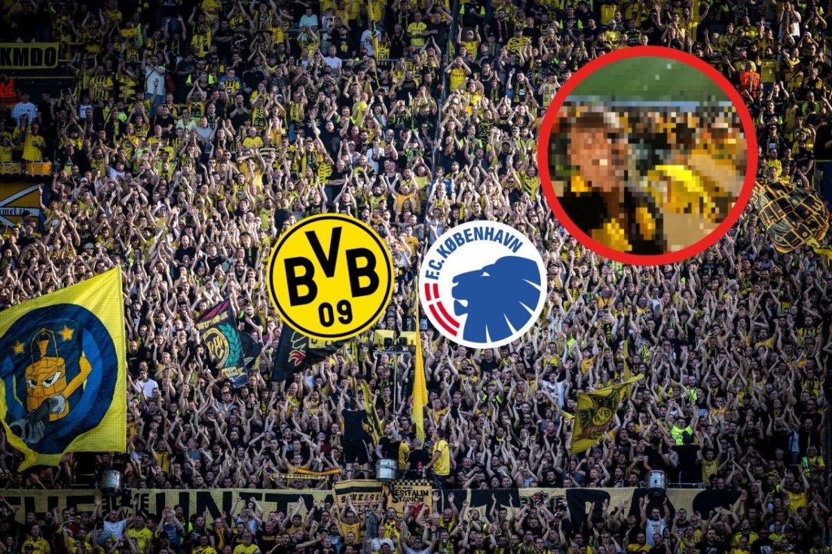 BVB Haller.jpg