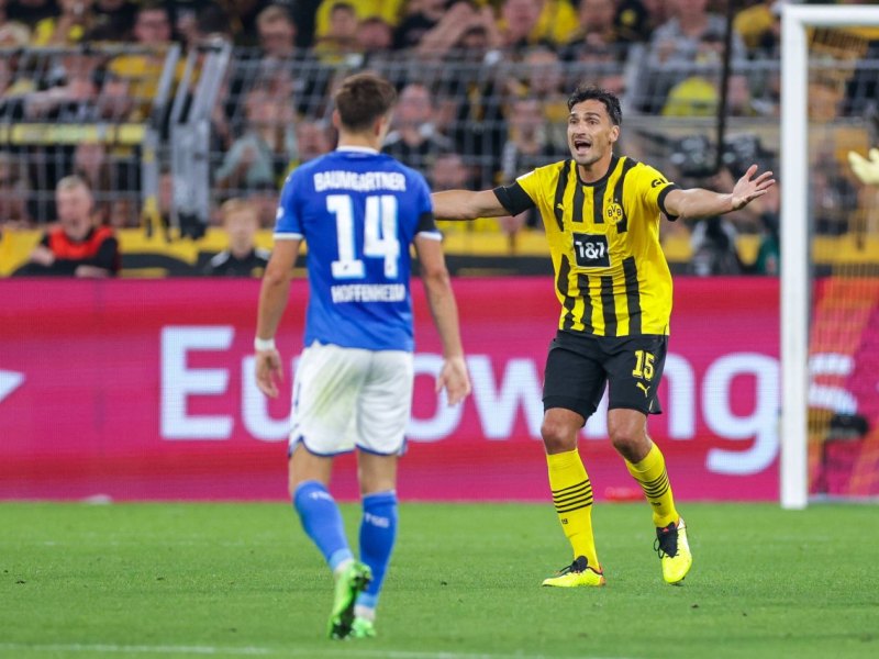 BVB TSG Hoffenheim