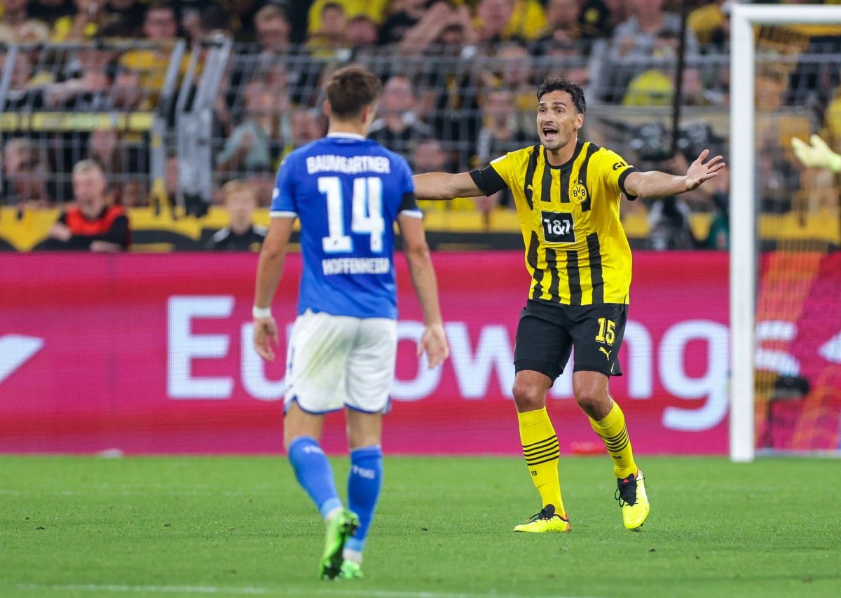 BVB TSG Hoffenheim