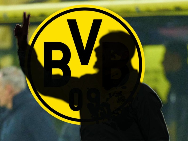 Borussia Dortmund Zickler.jpg