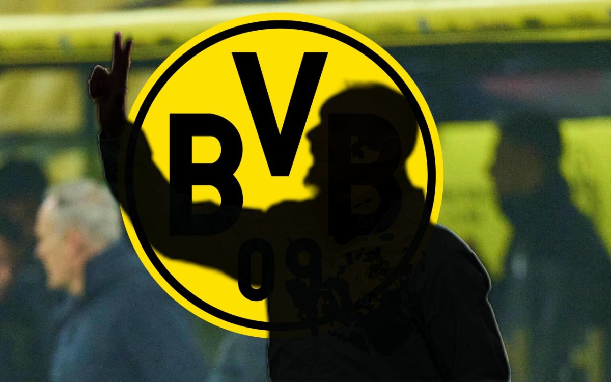 Borussia Dortmund Zickler.jpg