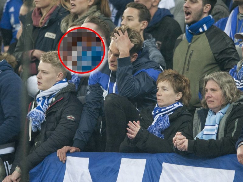 FC Schalke harit CL.jpg