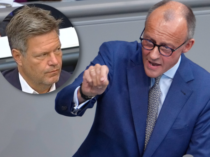 Habeck Merz