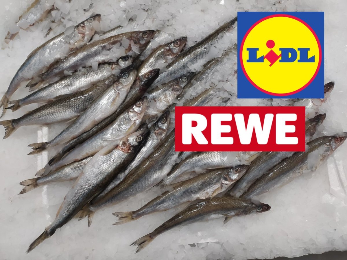 Rew_Lidl.jpg