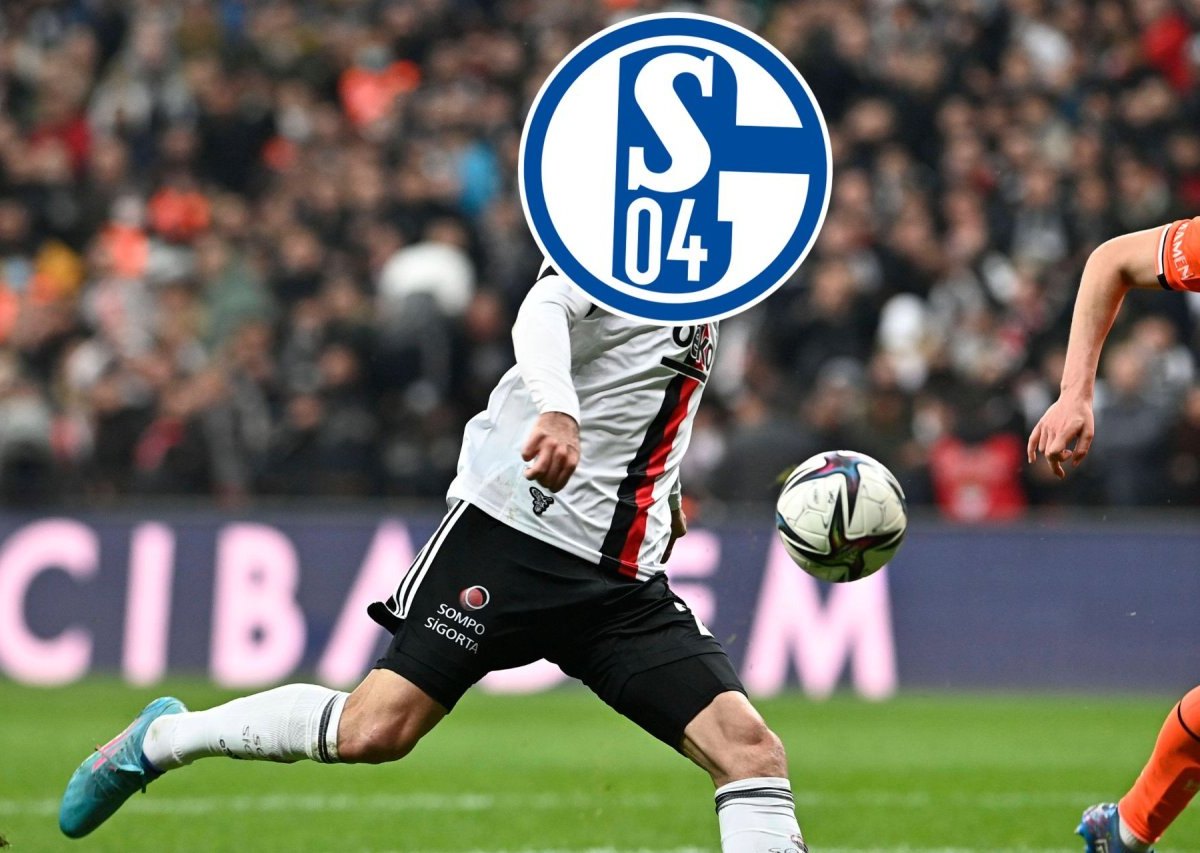 Schalke Karaman.jpg