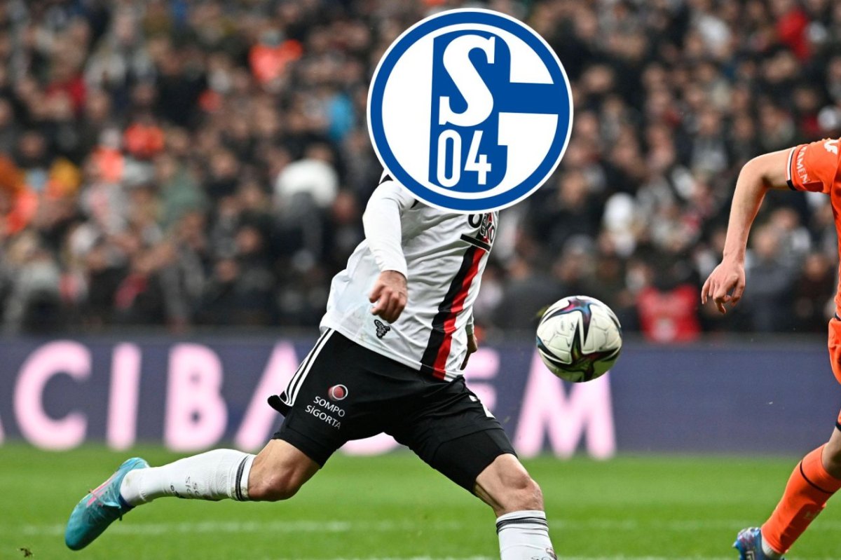 Schalke Karaman.jpg