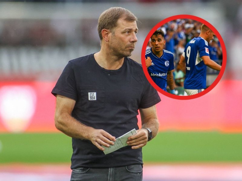 Schalke Zalazar.jpg