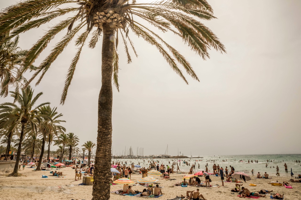 Werden auch im Winter zahlreiche Deutsche Urlaub auf Mallorca machen? (Symbolbild)