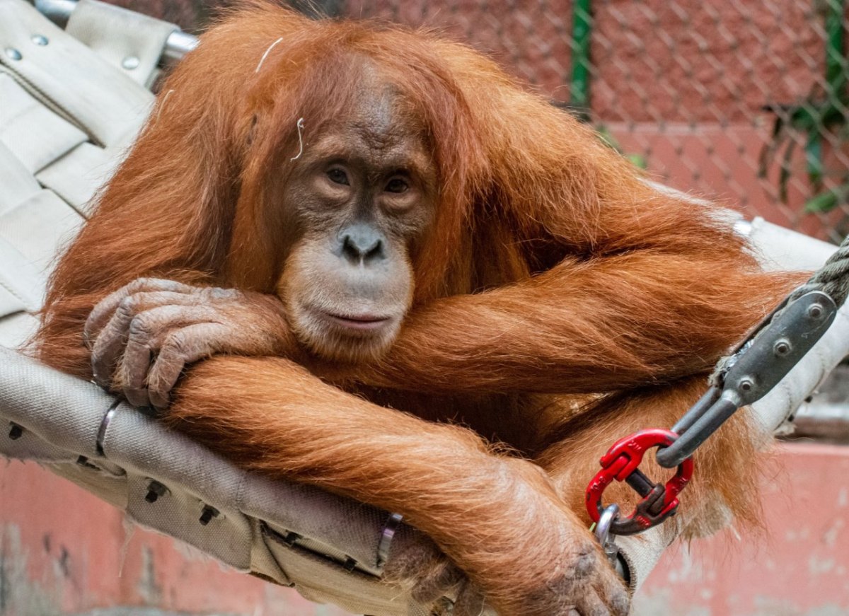 Zoo Dortmund.jpg