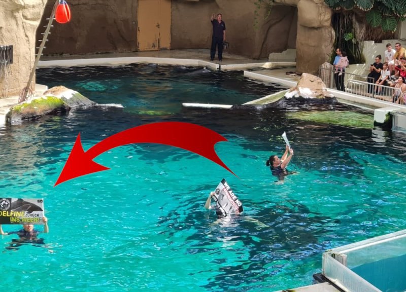 Zoo_Duisburg.jpg