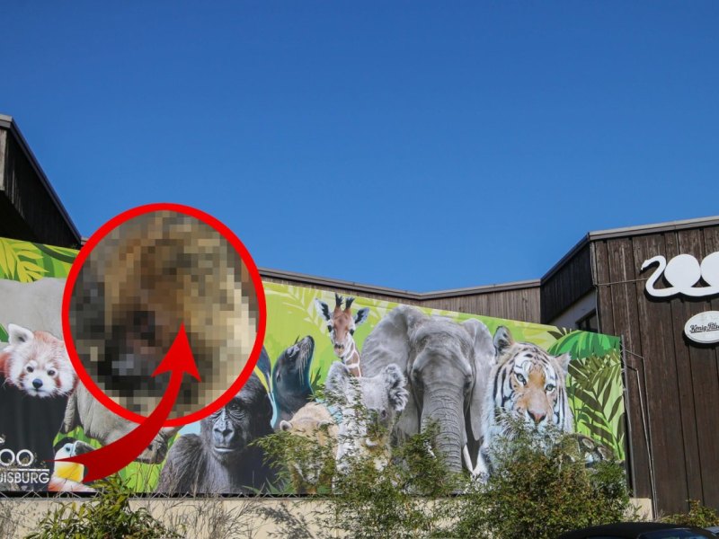 Zoo Duisburg.jpg
