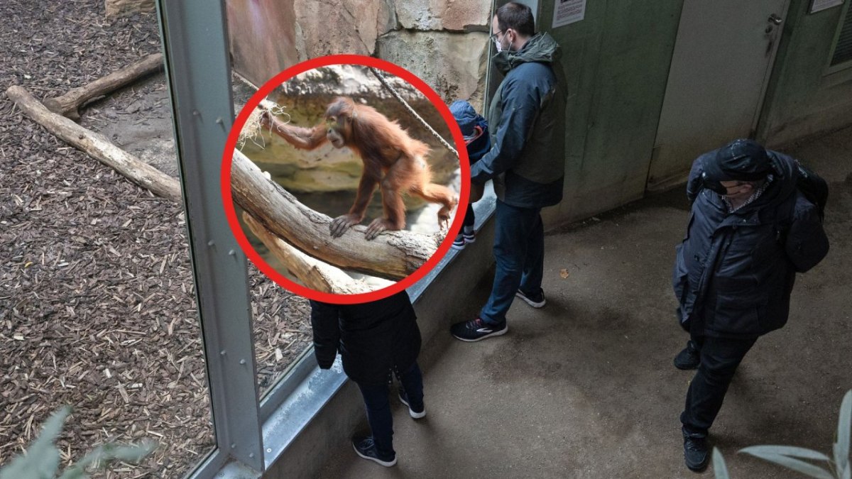 Zoo Frankfurt.jpg