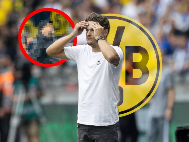 borussia-dortmund-rose.jpg