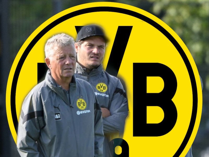 Edin Terzic und Peter Hermann schauen böse vor einem Logo von Borussia Dortmund.