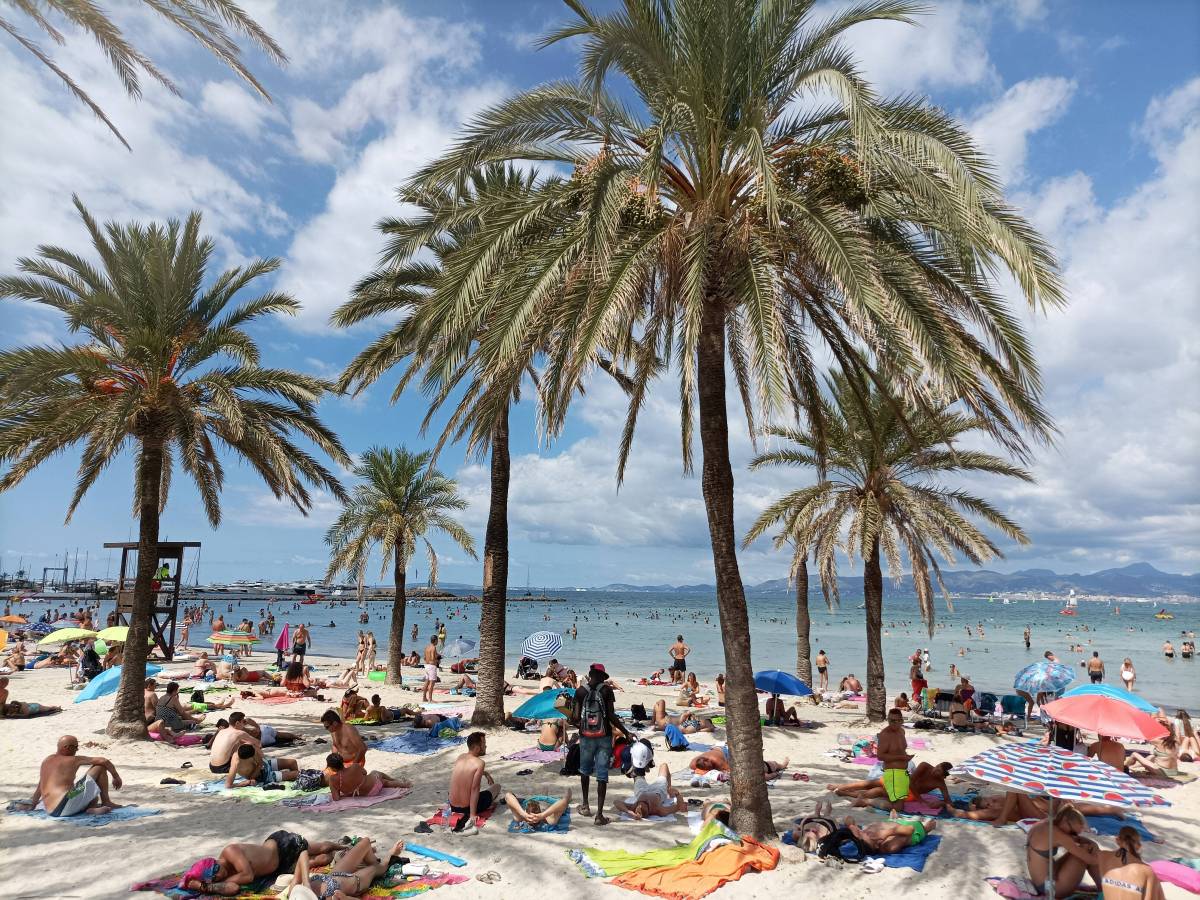 Auf einem Strand auf Mallorca tummeln sich Menschen unter Palmen.