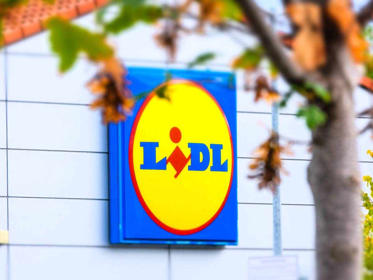 Das Lidl-Logo prangt leicht hinter einem Baum versteckt auf einer grauen Fassade.