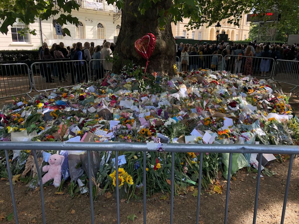 Im Green Park, der an den Buckingham Palace grenzt, erstrecken sich bereits mehrere Blumenmeere.