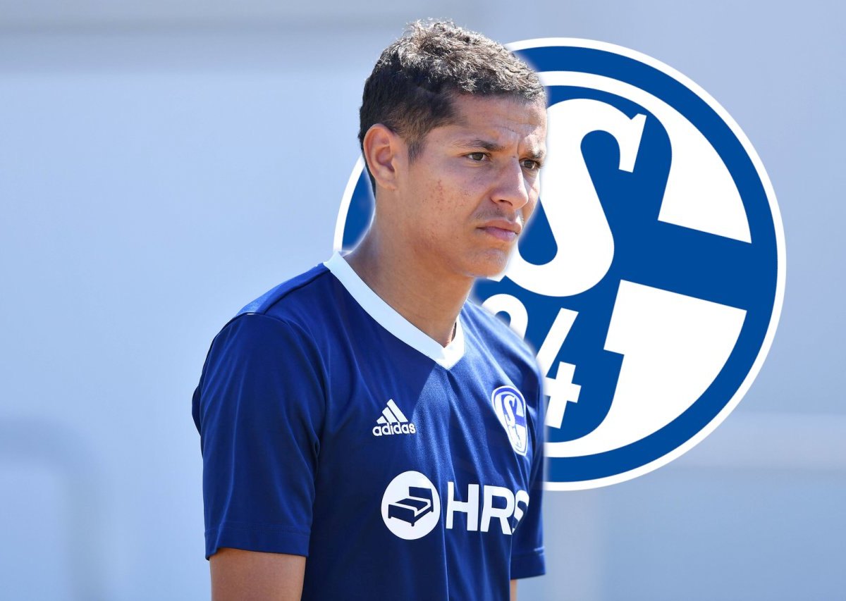 schalke-harit.jpg