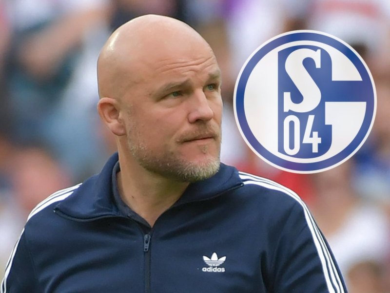 schalke-schroeder.jpg