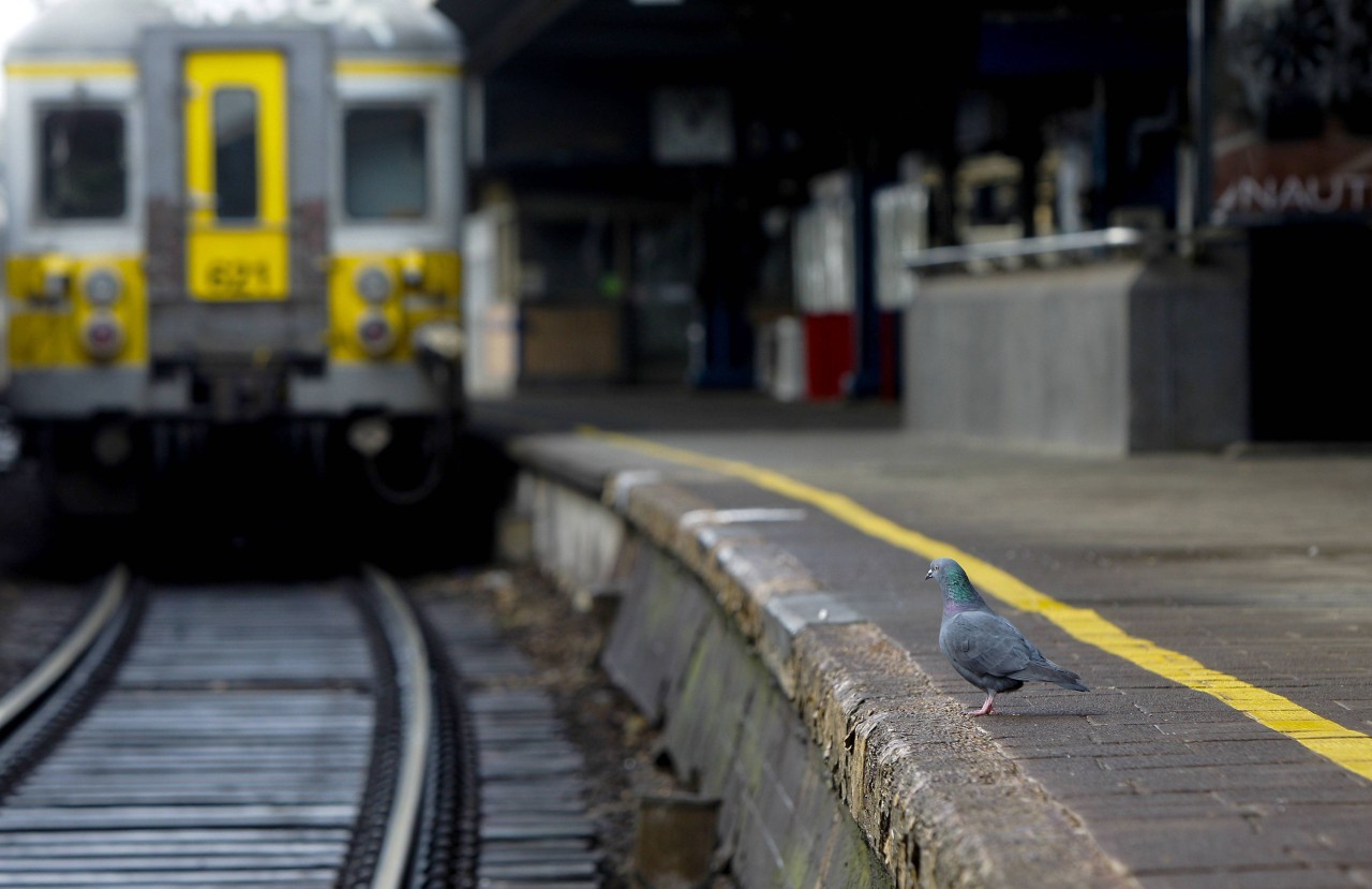 Zurzeit sollten Touristen besser nicht per Bahn den Urlaub in den Niederlanden antreten. (Symbolbild)