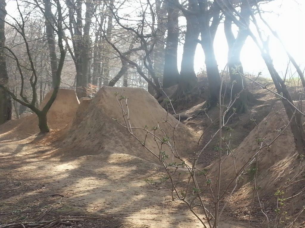 Diese Sprunghürden und andere Anlagen hatten die Radfreunde auf ihrer BMX-Bahn errichtet. Jetzt wurde alles eingeebnet. 