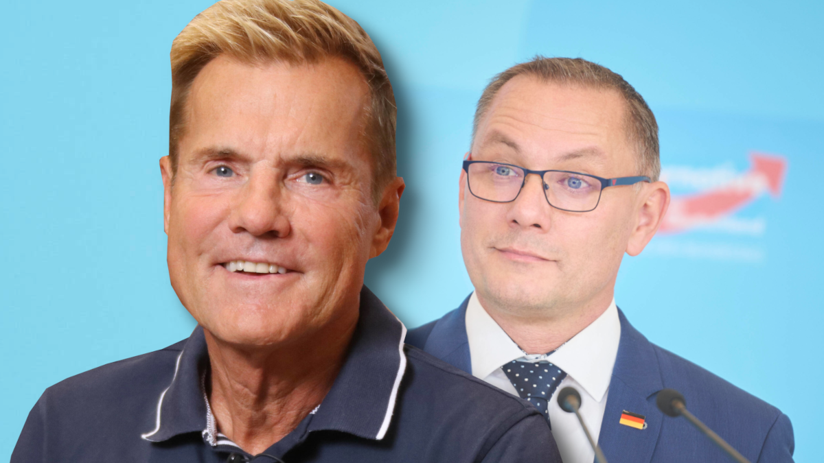 AfD und Dieter Bohlen