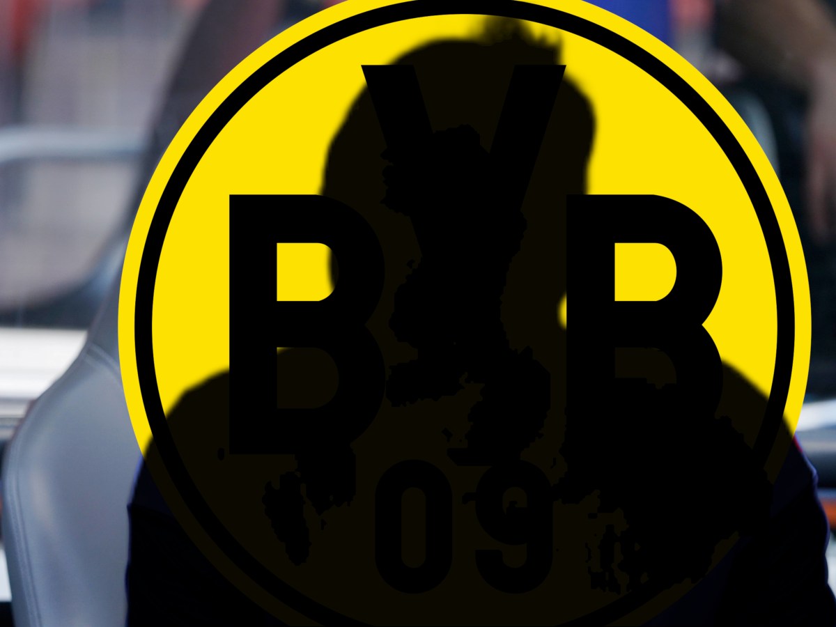 Borussia Dortmund Bradley Fink.jpg