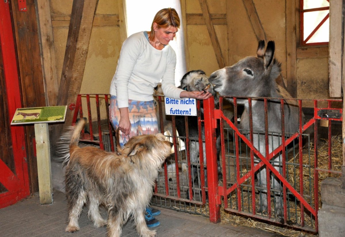 Leiterin Kaisergarten Oberhausen Anette Perrey.jpg