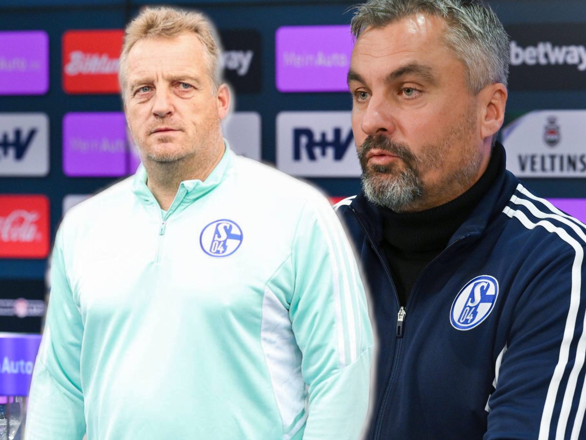 FC Schalke 04 Büskens Reis