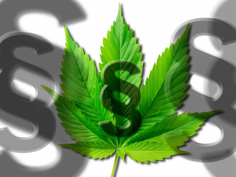 cannabis.jpg