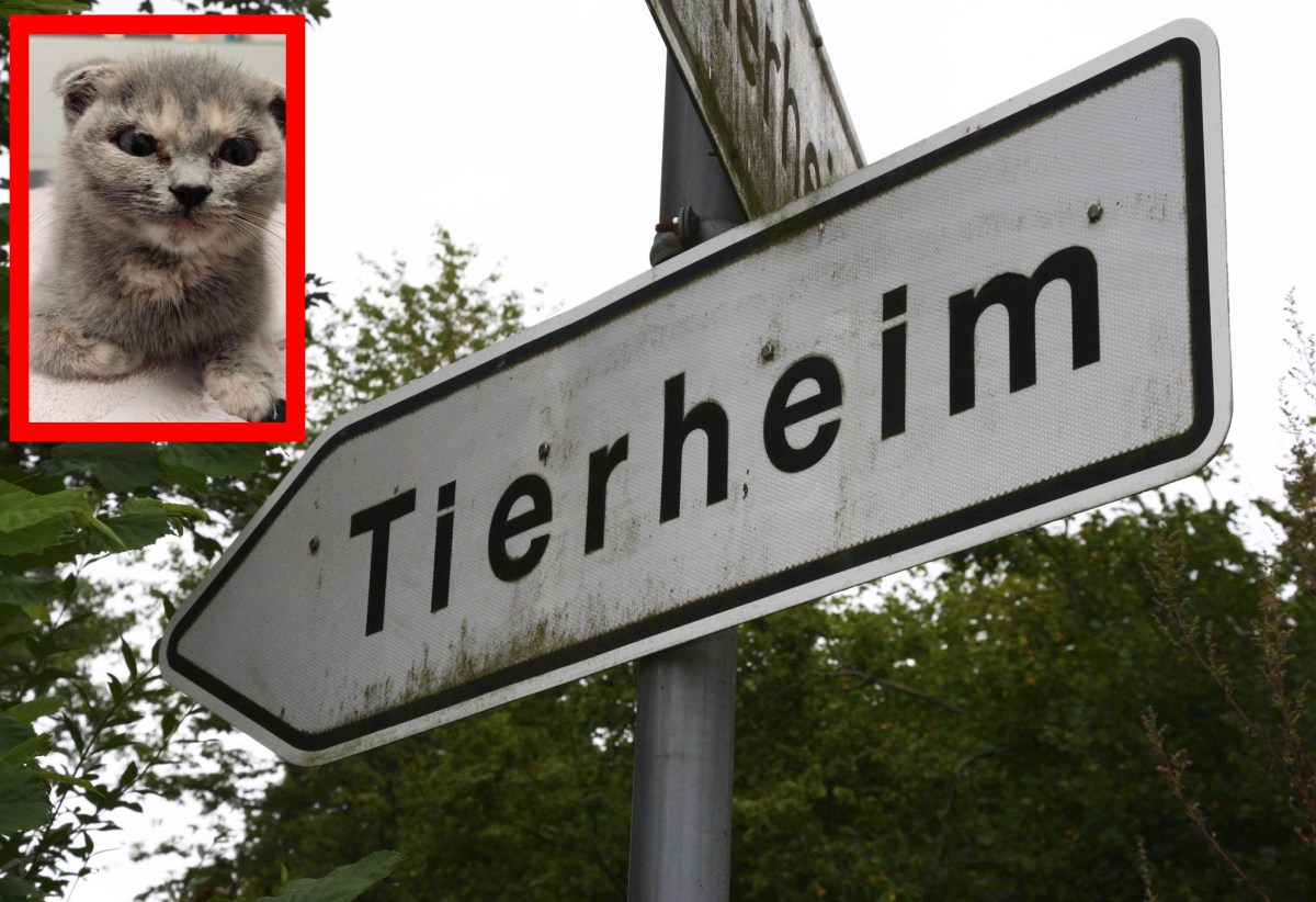 Tierheim NRW