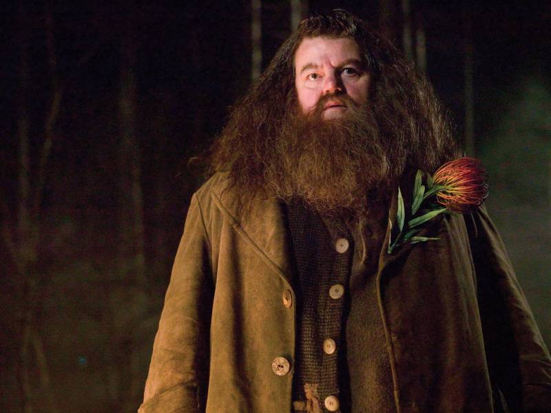HARRY POTTER