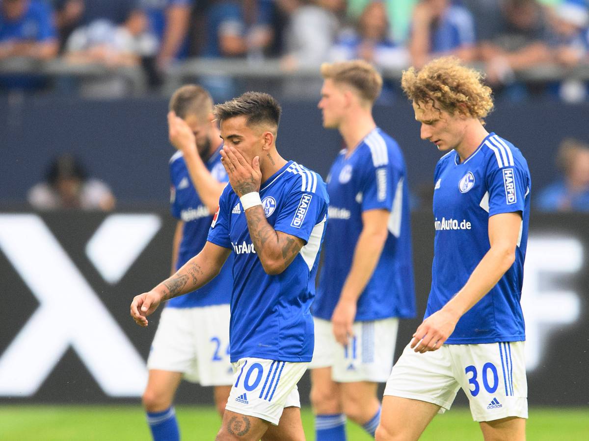 FC Schalke 04 Zalazar