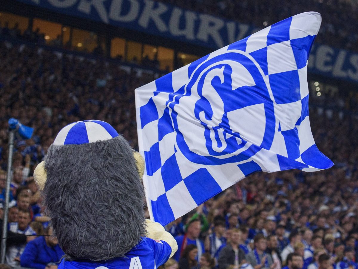 FC Schalke 04 Karten