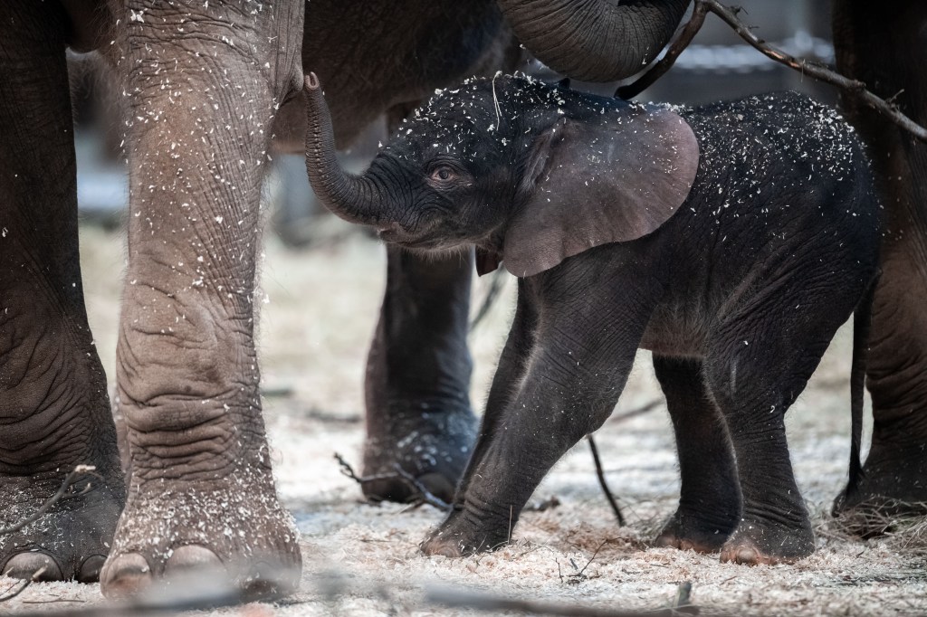 Wuppertal Zoo