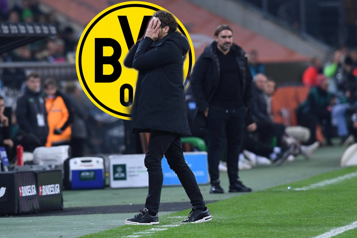 Borussia Dortmund Terzic