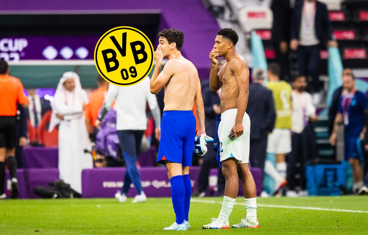 Borussia Dortmund Reyna