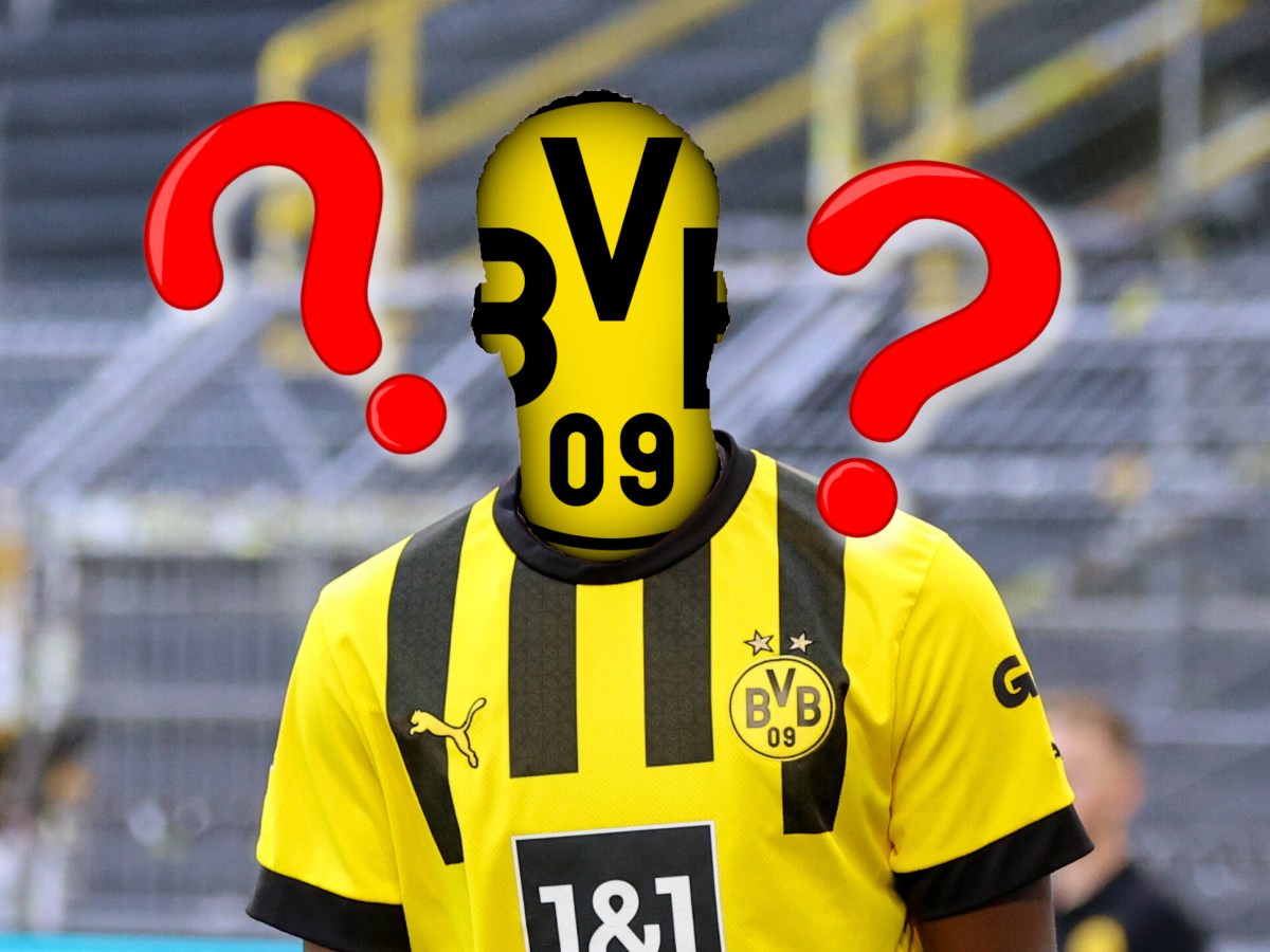 Soumaila Coulibaly im Trikot von Borussia Dortmund.