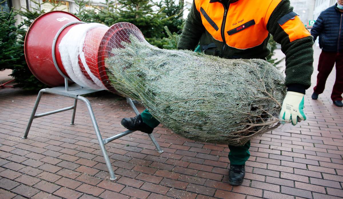 Weihnachtsbaum