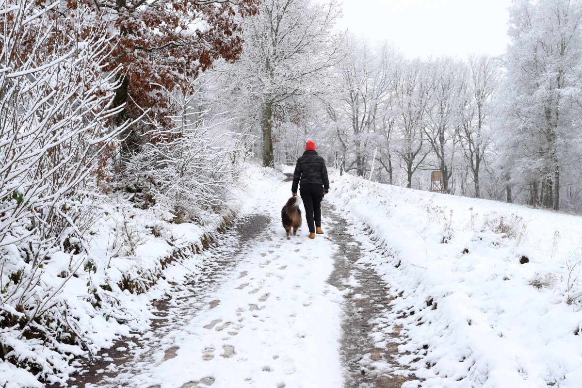 Wetter in NRW Schnee Wald Spaziergänger mit Hund