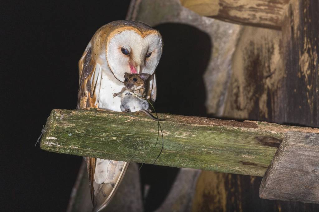 Zoo DOrtmund