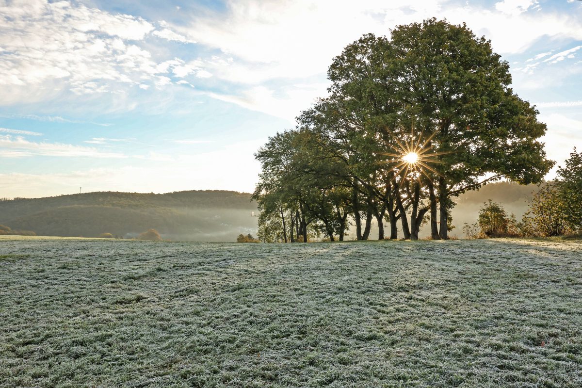 Wetter in NRW Frost am Morgen