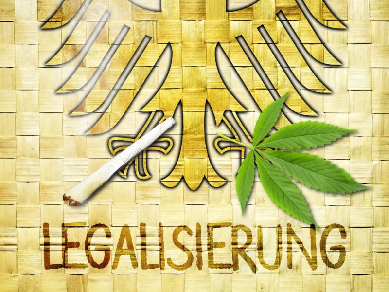 Cannabis