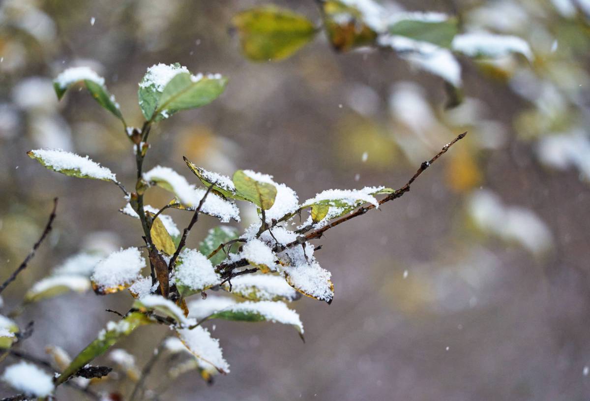 Wetter in NRW