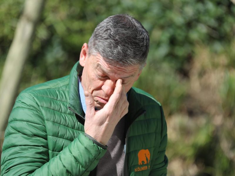 Kölner Zoo Kaufmännischer Direktor Christopher Landsberg